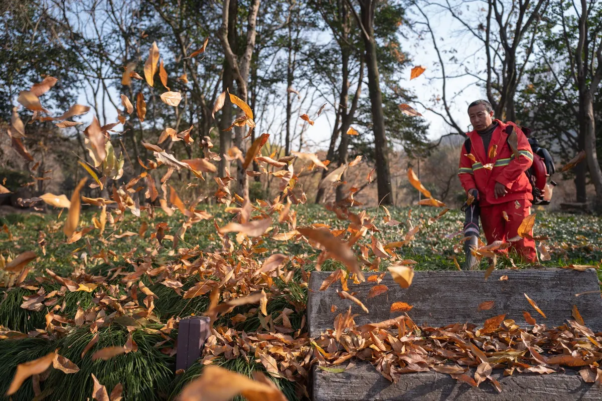 A cordless leaf blower clearing a pile of autumn leaves from a residential driveway