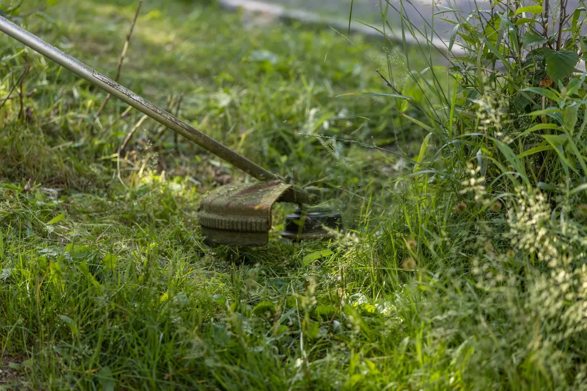 Buying guide: budget string trimmers