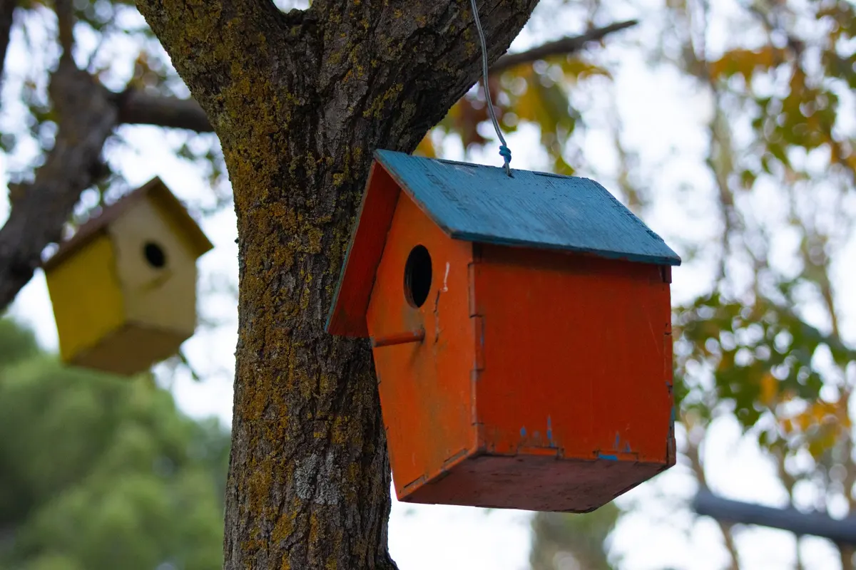 DIY project: a classic backyard birdhouse