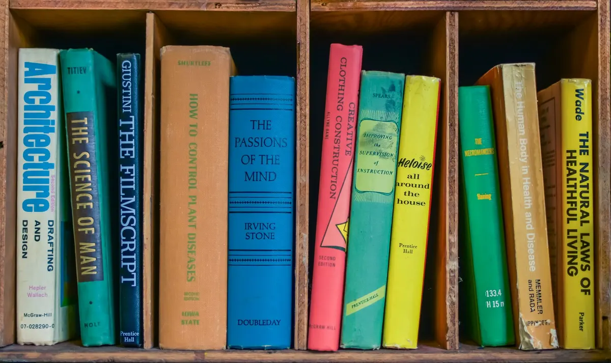 DIY project: a sturdy 5-shelf plywood bookshelf