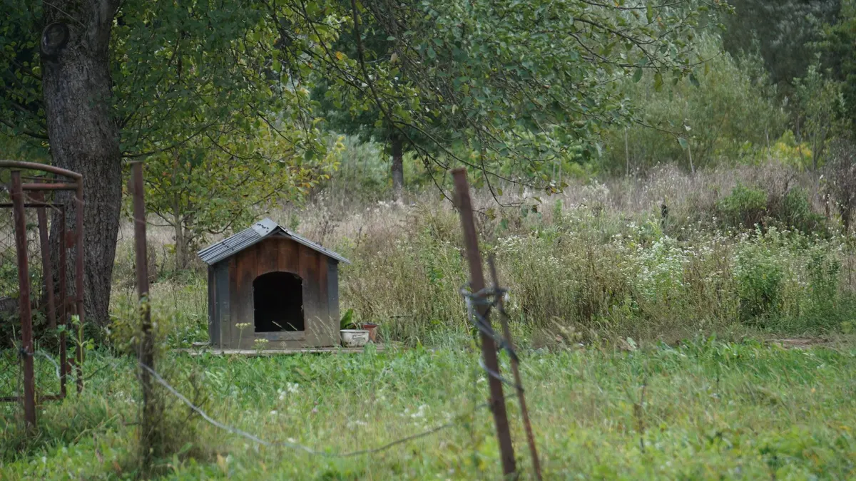 DIY project: an insulated outdoor dog house